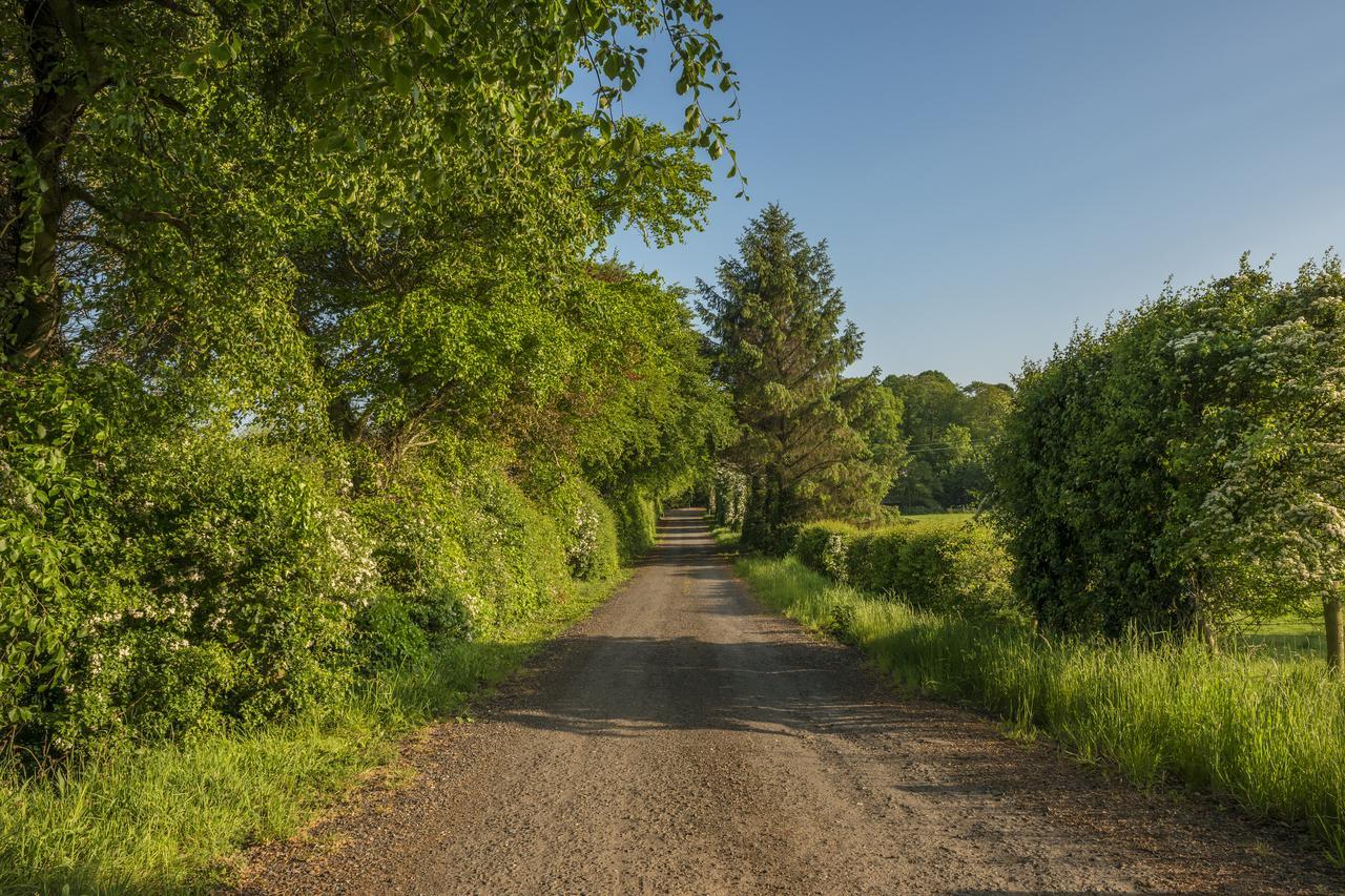 Mill Lodge B&B Banbridge Eksteriør bilde